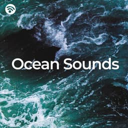 Ocean Sounds - Water Sounds