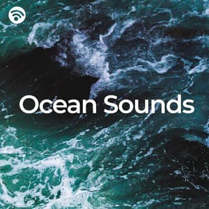 Ocean Sounds - Water Sounds