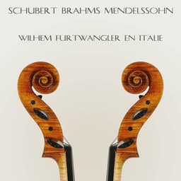 Schubert, Brahms & Mendelssohn : Wilhelm Furtwängler en Italie - Orchestra Sinfonica Di Torino Della Rai