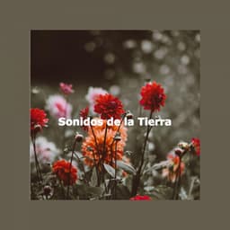 Sonidos de la Tierra - Jazz Lounge Bar Relaxing