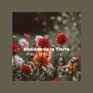 Sonidos de la Tierra - Jazz Lounge Bar Relaxing