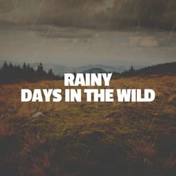 Rainy Days in the Wild - Rain Sounds & Nature Sounds