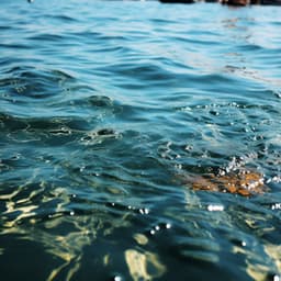 Serenidad Costera: Una Odisea De Relajación Oceánica - Naturaleza y Sonidos Fondos