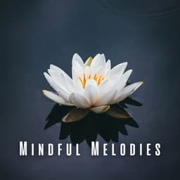 Mindful Melodies: Meditation Music Edition - mymelody