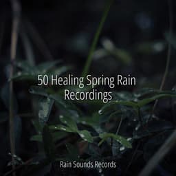 50 Healing Spring Rain Recordings - Weather Factory
