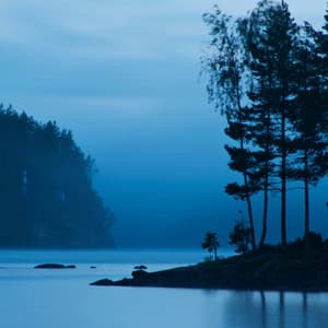 Evening Peace: Gentle Music for Nighttime Serenity - Binaural Best Organic