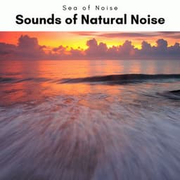2022 Sounds of Natural Noise - Sea of Noise