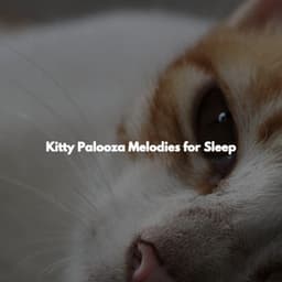 Kitty Palooza Melodies for Sleep - French Cafe Jazz Chillout