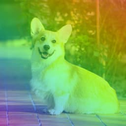 Music for Doggy Focus - Piano Duo - Relaxing Dog Music Classics