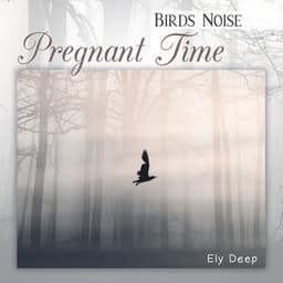 Birds Noise - Ely Deep