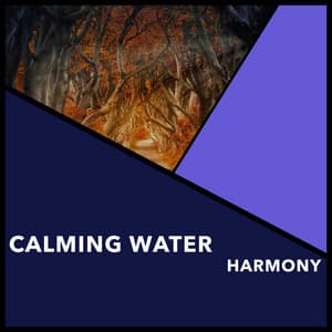 Calming Water Harmony - Reiki Collective