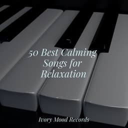 50 Best Calming Songs for Relaxation - Ivory Mood