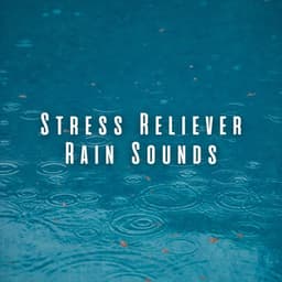 Stress Reliever Rain Sounds - Thunder Storms & Rain Sounds