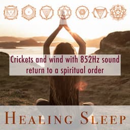 Crickets and wind with 852Hz sound return to a spiritual order - Healing Sleep