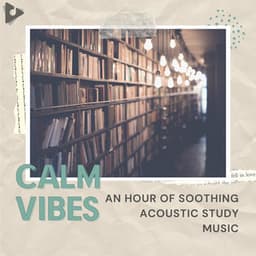 An Hour of Soothing Acoustic Study Music - Calm Vibes