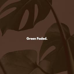 Green Faded. - Vintage Cafe Classic