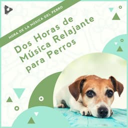 2 Horas de Música Relajante para Perros - Hora de la Música del Perro