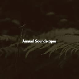Annual Soundscapes - Música de Trabajo Retro