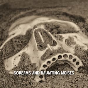 Screams And Haunting Noises - Spooky Halloween Sounds