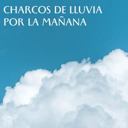 Charcos De Lluvia Por La Mañana - Lluvia Mozart