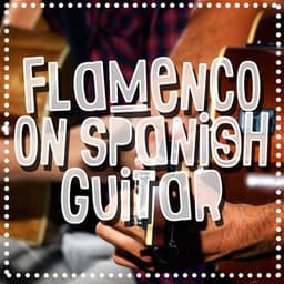 Flamenco on Spanish Guitar - Guitarra Acústica y Guitarra Española