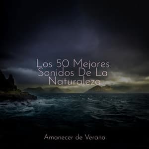 Los 50 Mejores Sonidos De La Naturaleza - Zen Music Garden