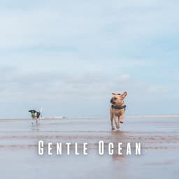 Gentle Ocean: Binaural Theta Waves for Dogs - Ocean Currents