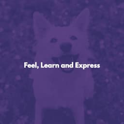 Feel, Learn and Express - Dinner Music Chillout