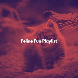 Feline Fun Playlist - For Cats Only