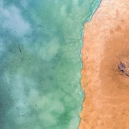 1 Mile Below: Among The Reef - Seascapers