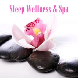 Sleep Wellness & Spa - Spa