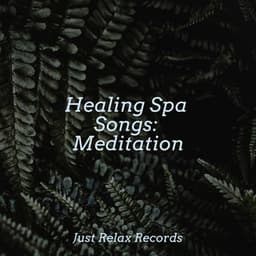 Healing Spa Songs: Meditation - Lullabies for Deep Meditation