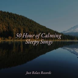 50 Hour of Calming Sleepy Songs - Musica de Relajación Academy
