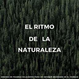 El Ritmo De La Naturaleza: Sonidos De Pájaros Relajantes Para Un Enfoque Mejorado En El Trabajo - Pájaros del Bosque