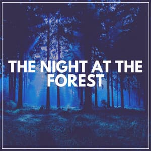 The Night At the Forest - Rivers and Streams