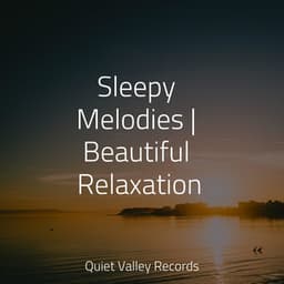 Sleepy Melodies | Beautiful Relaxation - Schlaflieder Für Kinder