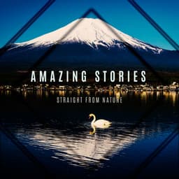 Amazing Stories Straight from Nature. Relaxing Soundtrack - Endless New Age Music Creator