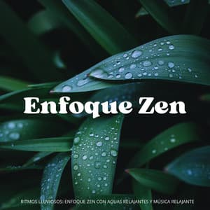 Ritmos Lluviosos: Enfoque Zen Con Aguas Relajantes Y Música Relajante - Grabadora Lluvia