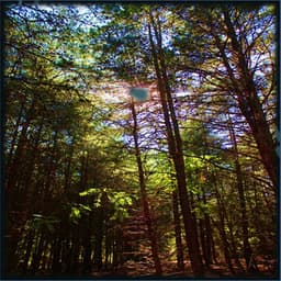 Sensory Reprogramming with Brown Noise, Drones and Flutes - Lullabies for Deep Meditation