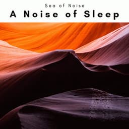 A Noise of Sleep - Sea of Noise