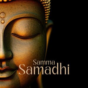 Samma Samadhi: Experience the Hightest Level of Buddhist Meditation - Buddhism Academy
