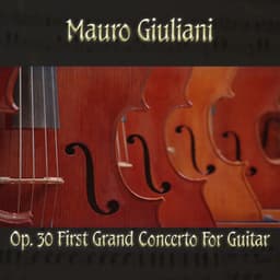 Mauro Giulani: Op. 30 First Grand concerto for guitar - Mauro Giuliani