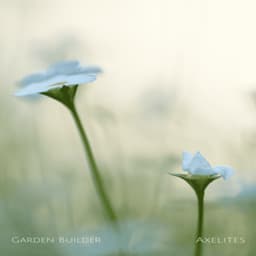 Garden Builder - Axelites