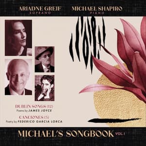 Michael's Songbook, Vol. I - Michael Shapiro