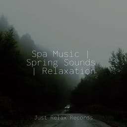 Spa Music | Spring Sounds | Relaxation - Calming Sounds