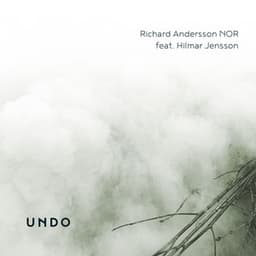 Undo - Richard Andersson