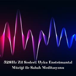 528Hz Zil Sesleri: Uyku Enstrümantal Müziği ile Sabah Meditasyonu - Uyku Müziği!