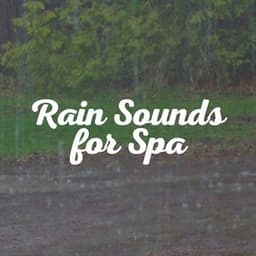 Rain Sounds for Spa - Rainy Dreaming
