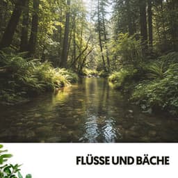 Flüsse und Bäche: Melodien des fließenden Wassers - Ruido Blanco Hart