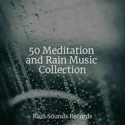 50 Meditation and Rain Music Collection - Nature Sound Collection